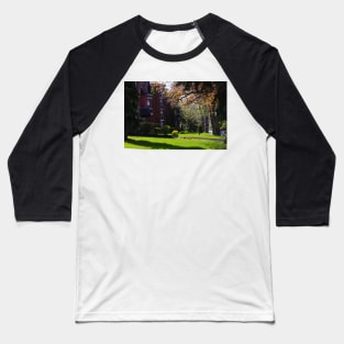 Hamilton Neighbourhood Baseball T-Shirt